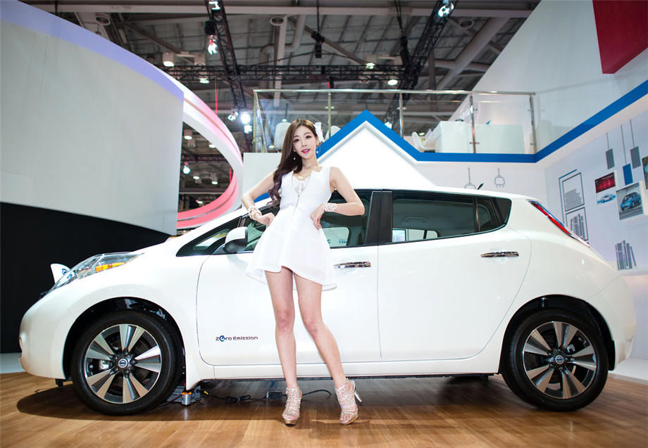 我和小动物的事作文